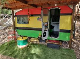 The Joint Backpackers, κάμπινγκ πολυτελείας σε Oudtshoorn