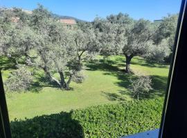 Dolce Relax - Calabria, appartement in Catanzaro