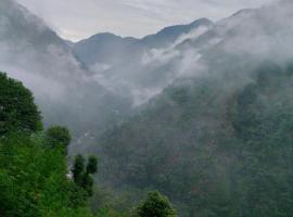 Kedar hill resort, Hotel in Trijugi Nārāyan