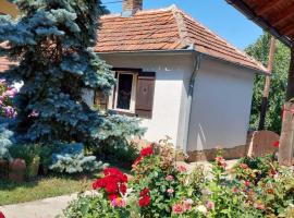 Apartman Nebojša, hotel v destinaci Rudnik