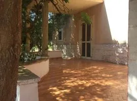 Masseria Elefante