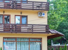 Casa Teju, holiday rental in Slănic