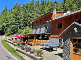Kamenný Mlýn, hotel ve Strážném