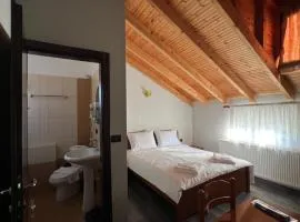 Vila Mata