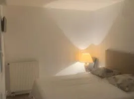 Belle chambre privée dans un appartement à Nogent sur Marne