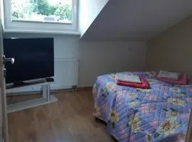 Apartamentai Birštono panorama