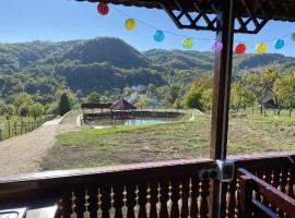 Casa Alex Alunisu, holiday home in Alunişu