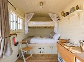 The Romney by Bloom Stays