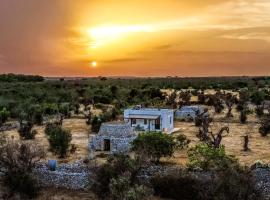 Casa Barzò - surrounded by olive trees，薩維的民宿