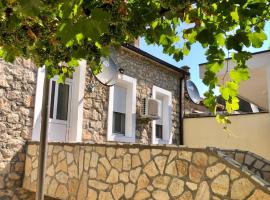 Vila Razic, holiday rental in Danilovgrad