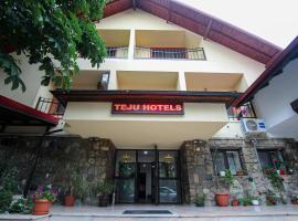 Teju Hotels, hotel en Slănic