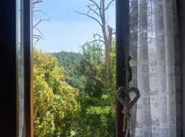 Calcata - La Casa di Bianca