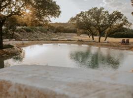 Nest - Texas Tiny House with a Big View, holiday home in Spring Branch