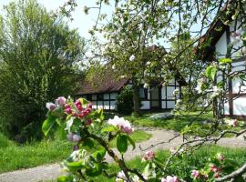 Ferienhaus Deichgraf 86 im Feriend, cottage in Bachenbrock