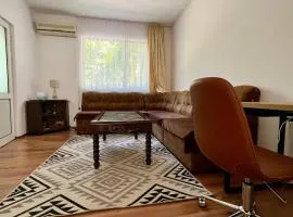 Compact city center apartment