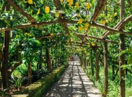 Agriturismo Il Giardino di Vigliano