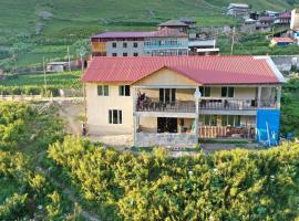 guest house caucasioni, Pension in Adishi