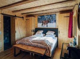 Alpen Lodge Berwang，貝旺的木屋