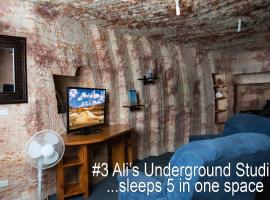 Ali's Underground Studio、クーバーペディのホテル