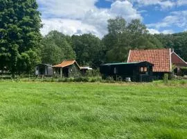 Tiny house, pipowagen onder de kastanje