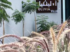 Olivia Chalet فلة أوليفيا