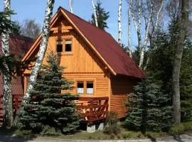 Filarówka