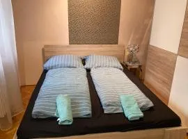 Roland Apartment Downtown - Pozsonyi