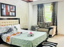 BluO Cozy Studio with Balcony - Green Park HKV