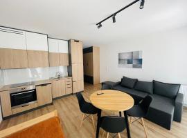 Apartament Osiedle Okrzei – obiekty na wynajem sezonowy w Kielcach