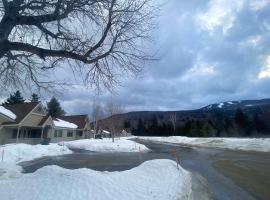 FV50 Pet friendly single level home in Bretton Woods walk to golf course and Mt Washington Hotel, apartamento em Carroll