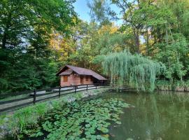 Cottage by the pond Pavel, vacation rental in Šmarje pri Jelšah