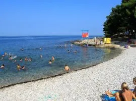 Studio Basanija 7148a