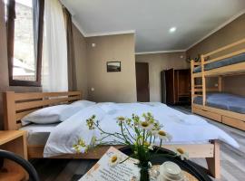 "White House Nakani" - Guesthouse near the centre, holiday rental in Mestia