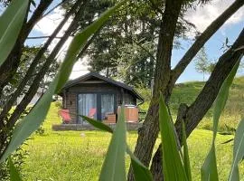 Szarejkowy GLAMP