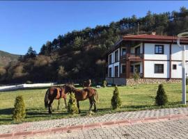 Mengen Rüya Çiftliği, family hotel in Babahızır