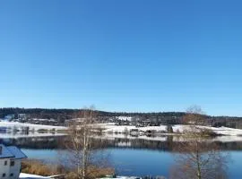 CHALET-MICHEL avec SPA