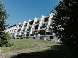 Rosenalm Scheidegg, hotel dengan kolam renang di Scheidegg