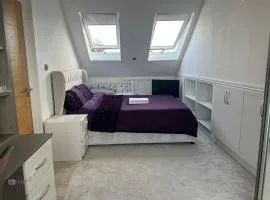 Deluxe Homestay near Tottenham Hotspur Stadium