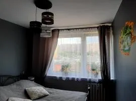 Apartament Grodzka