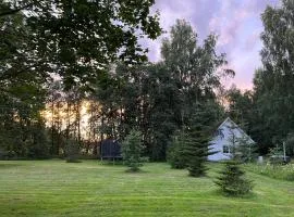 Сottage under the trees