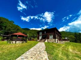 Pensiunea Roxana, hotel with parking in Valea Vişeului