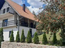Zlatibor Tornik View