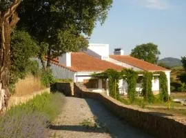 THE OLIVE PRESS - Alentejo