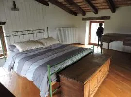 Tipitapi