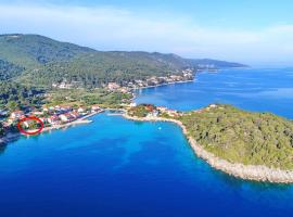 Apartments by the sea Prizba, Korcula - 4484