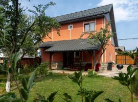 Generous family home, cabaña o casa de campo en Vişeu de Sus