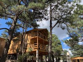 Cabañas el Pino 3: Creel'de bir tatil evi