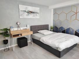 Business Style Apartment Ludwigshafen *Free Parking and WiFi* – hotel z parkingiem w mieście Mutterstadt