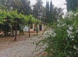 Appartamento bilocale sulla Via Francigena a Campagnano di Roma