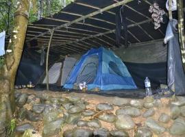 Bukit Lawang Glamping & Jungle Trekking, camping de luxe à Bukit Lawang